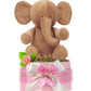 Windeltorte Mädchen LITTLE PEANUT + große Elefanten Spieluhr