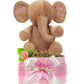 Windeltorte Mädchen LITTLE PEANUT rosa | personalisierbar
